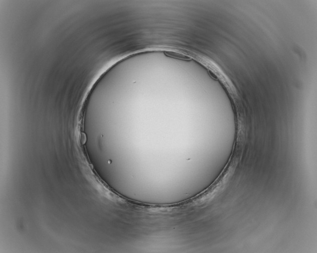 X0000112800908200909041430
