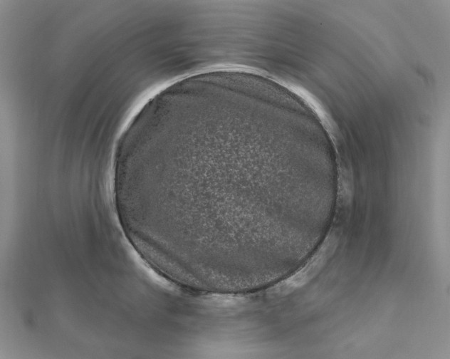 X0000112800910200909041430