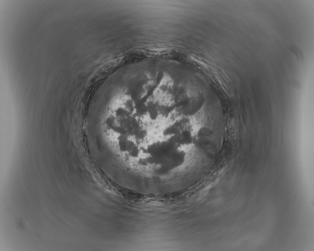 X0000112800913200909041429