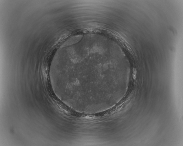 X0000112800915200909041429