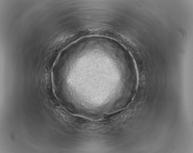 X0000112800917200909041429