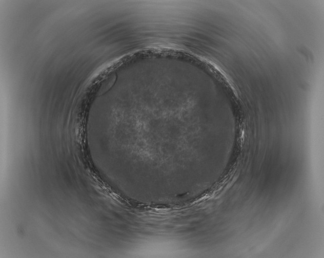 X0000112800919200909041429
