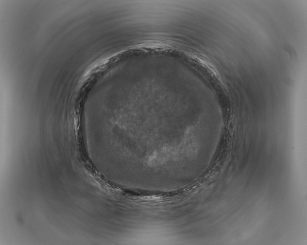 X0000112800920200909041429