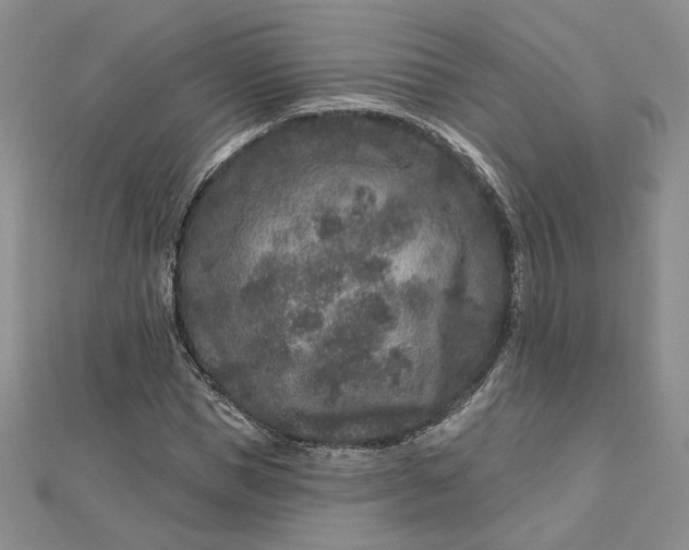 X0000112800921200909041429