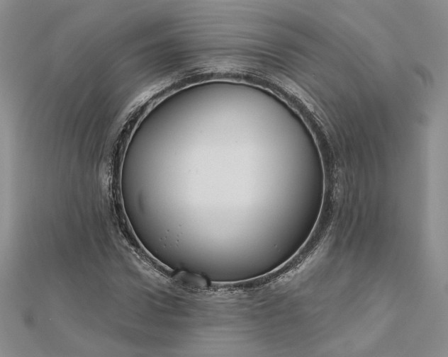 X0000112800922200909041429