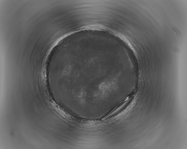 X0000112800923200909041429
