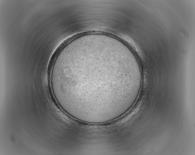 X0000112800924200909041429