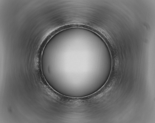 X0000112800926200909041429
