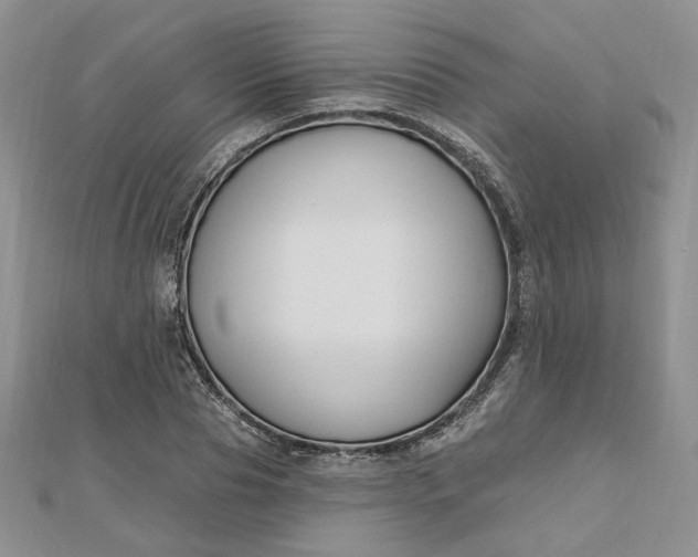 X0000112800929200909041430