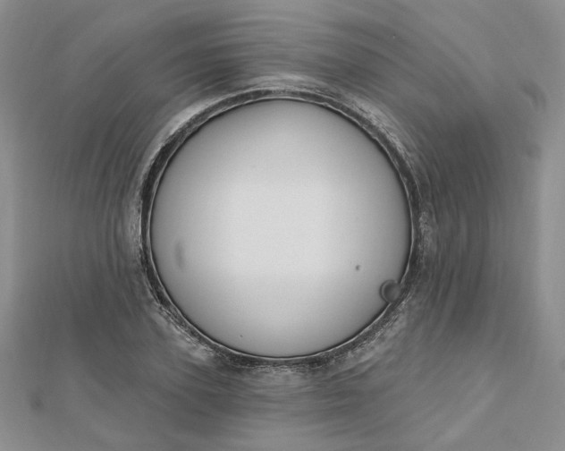 X0000112800931200909041430