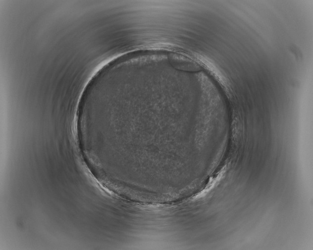X0000112800932200909041430