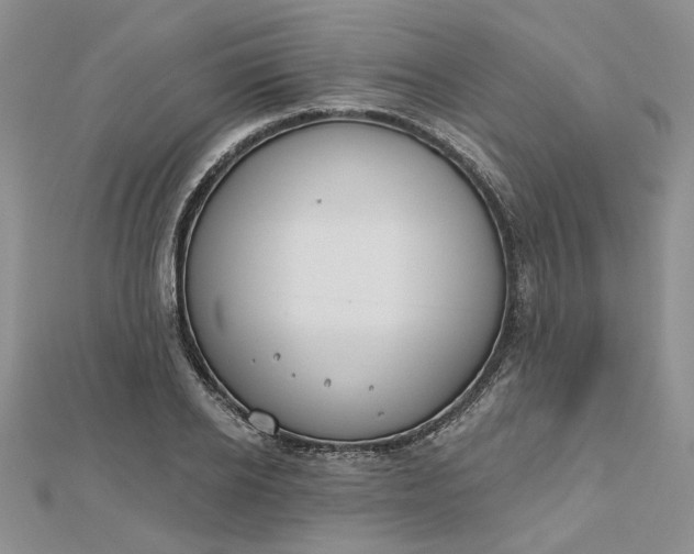 X0000112800934200909041430