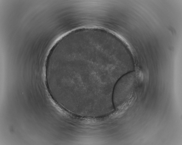 X0000112800935200909041430