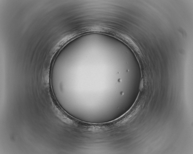 X0000112800938200909041430