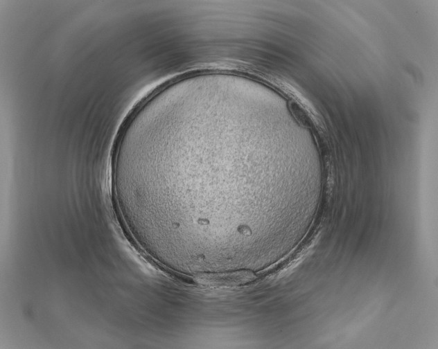 X0000112800940200909041430