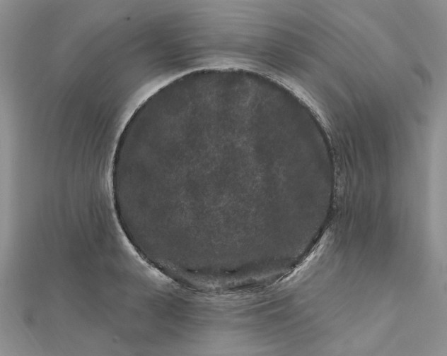 X0000112800943200909041430