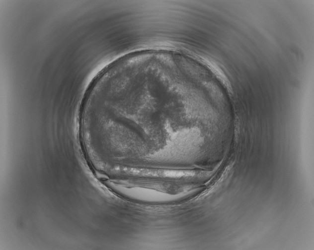 X0000112800944200909041430