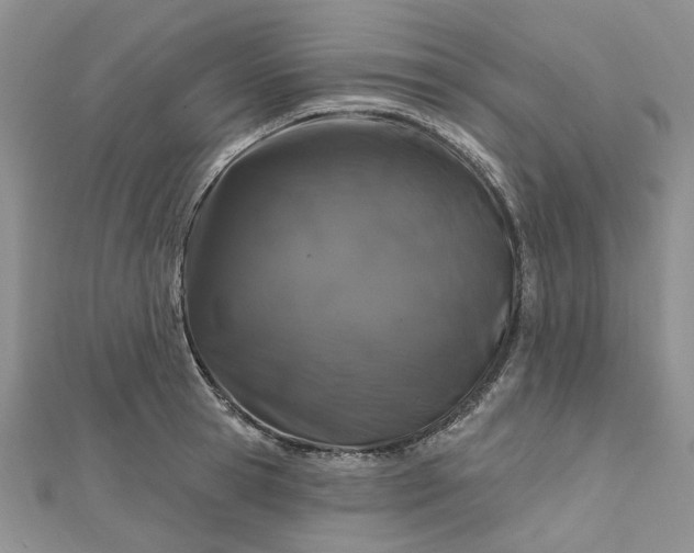 X0000112800945200909041430