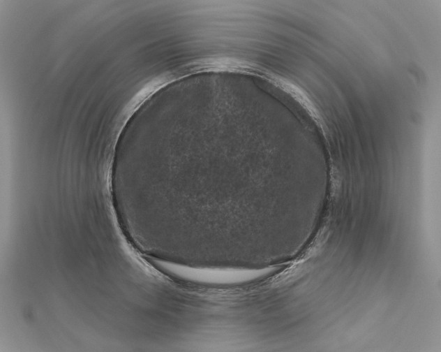 X0000112800946200909041430
