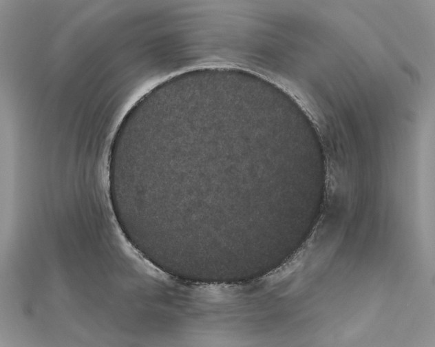 X0000112800950200909041430