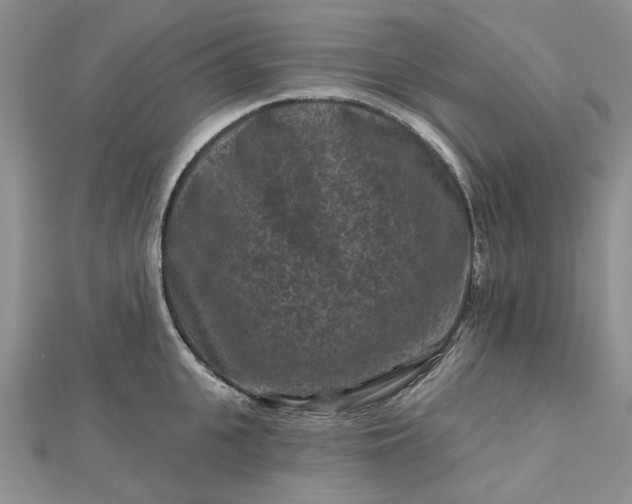 X0000112800951200909041430