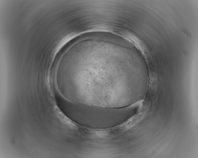 X0000112800952200909041430