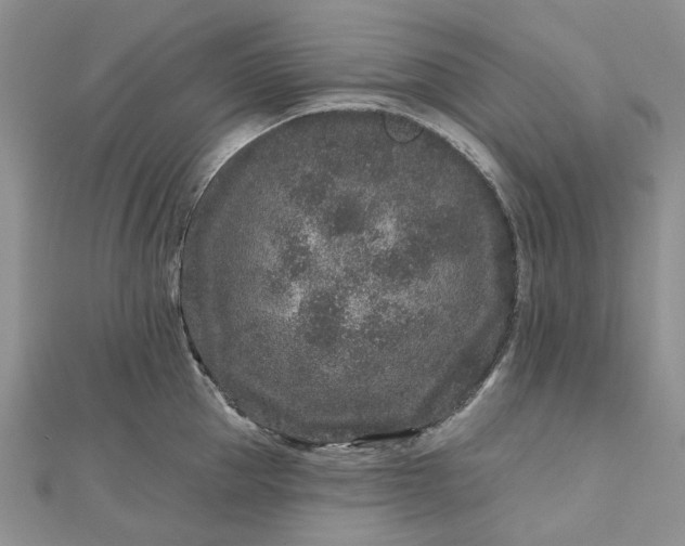 X0000112800953200909041430