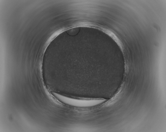 X0000112800954200909041430