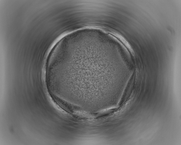 X0000112800955200909041430