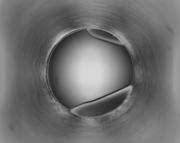 X0000112800956200909041430