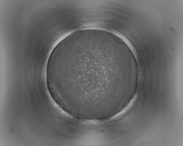 X0000112800957200909041430