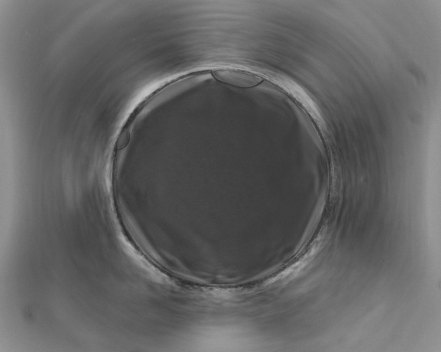 X0000112800958200909041430