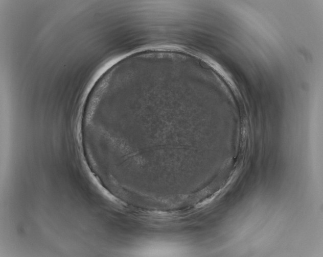 X0000112800959200909041430
