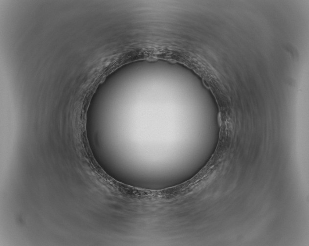 X0000112800961200909041429