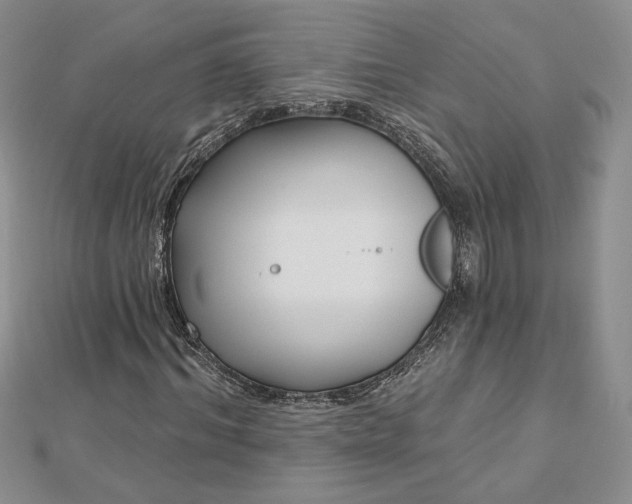 X0000112800964200909041429