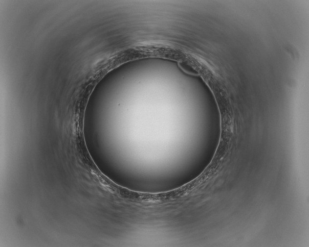 X0000112800965200909041429