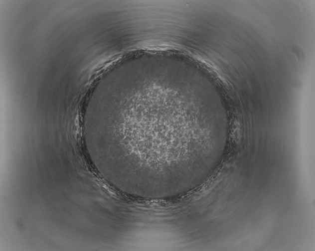 X0000112800966200909041429