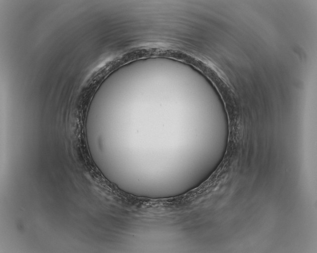 X0000112800967200909041429