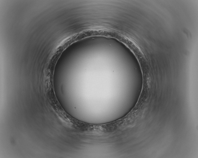 X0000112800968200909041429