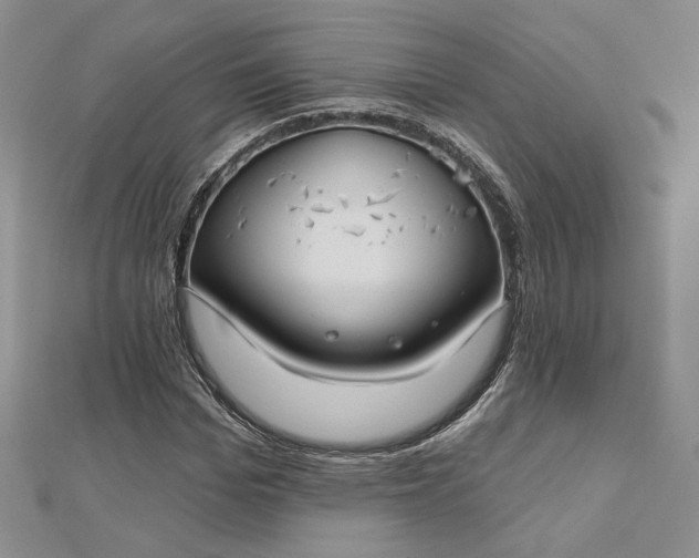 X0000112800969200909041429