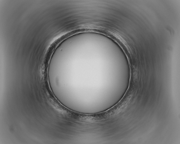 X0000112800971200909041429