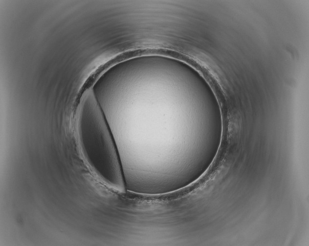 X0000112800973200909041429