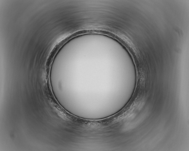 X0000112800974200909041429