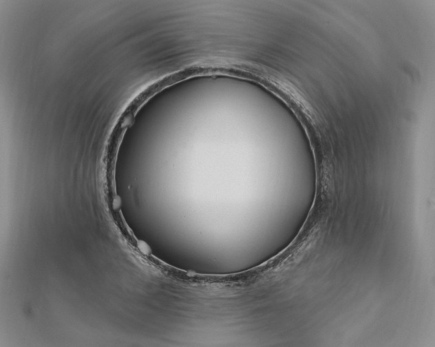 X0000112800976200909041429