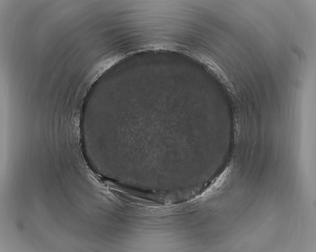 X0000112800977200909041429
