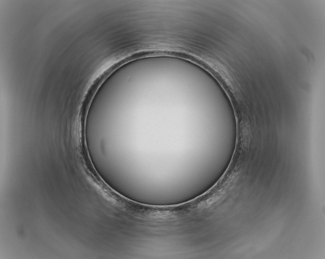 X0000112800982200909041429