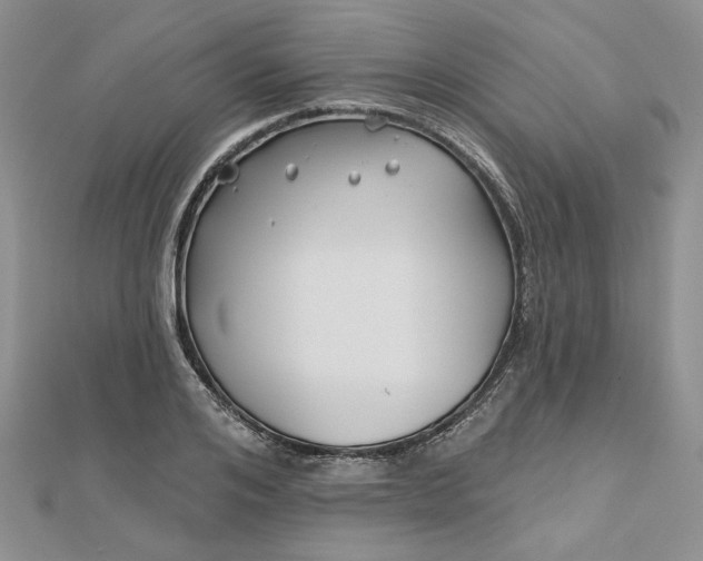 X0000112800984200909041429
