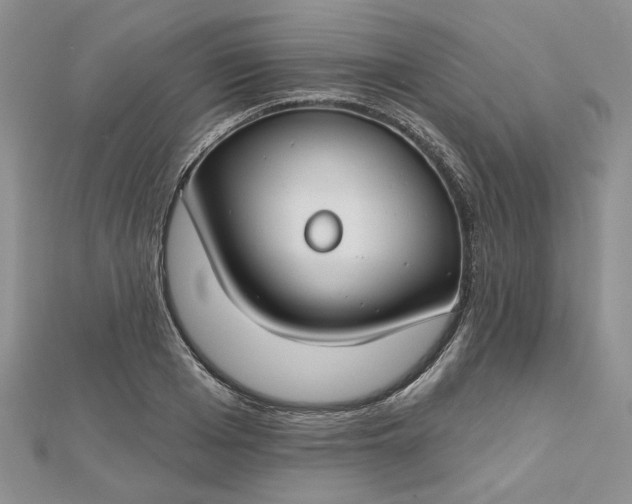 X0000112800985200909041429