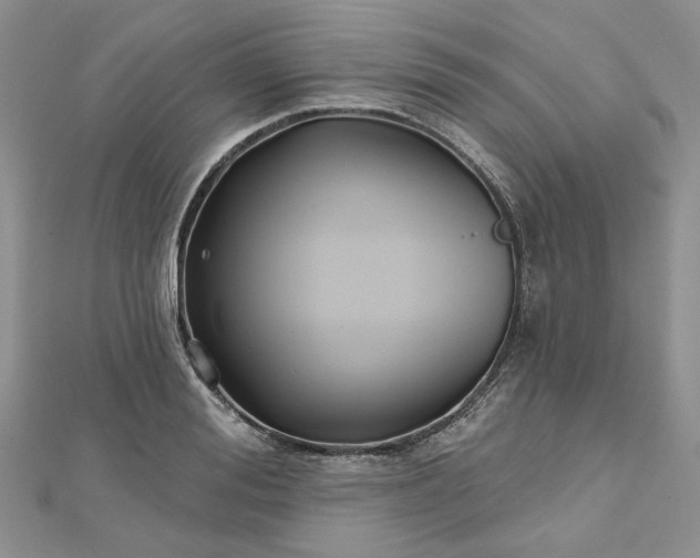 X0000112800988200909041429