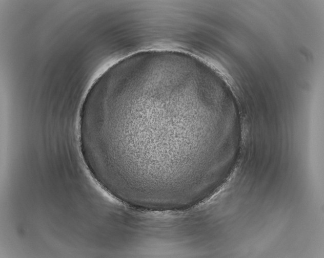 X0000112800990200909041429